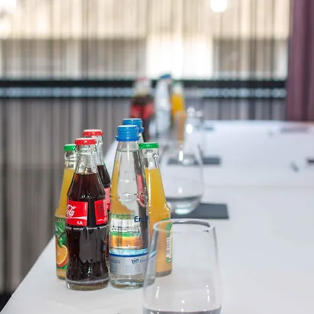 La Mansion Vi Vadi 4* Mnichov